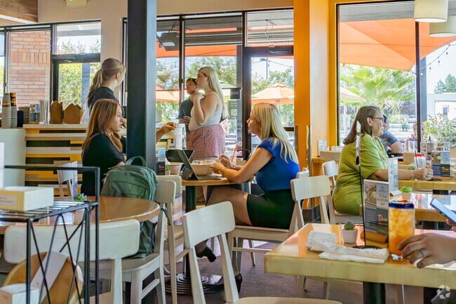 Tea Bar & Fusion Cafe is a great location to meet friends for lunch in Chico.