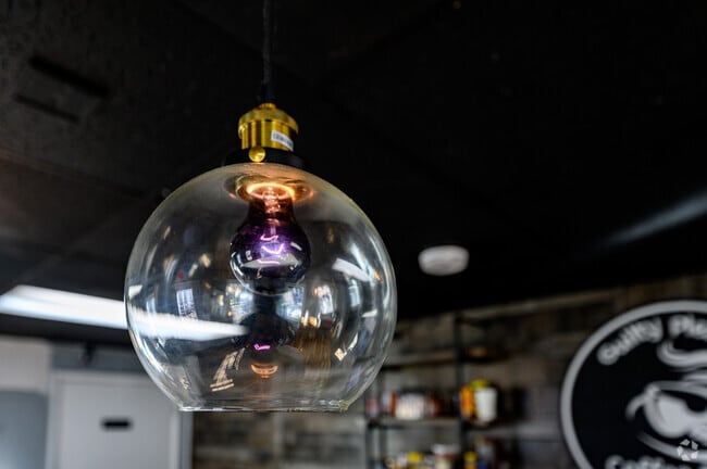 Detail of a light globe at Downtown Hampton's Guilty Pleasure Coffee Shop.
