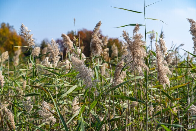 Odessa offers natural beauty and green spaces throughout the community.