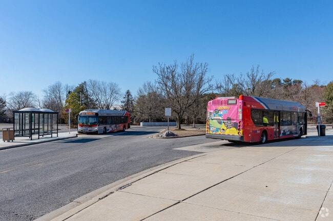 Metro buses are readily available in the Tulip Grove neighborhood.