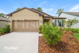 18536 Rococo Rd, Spring Hill, FL 34610