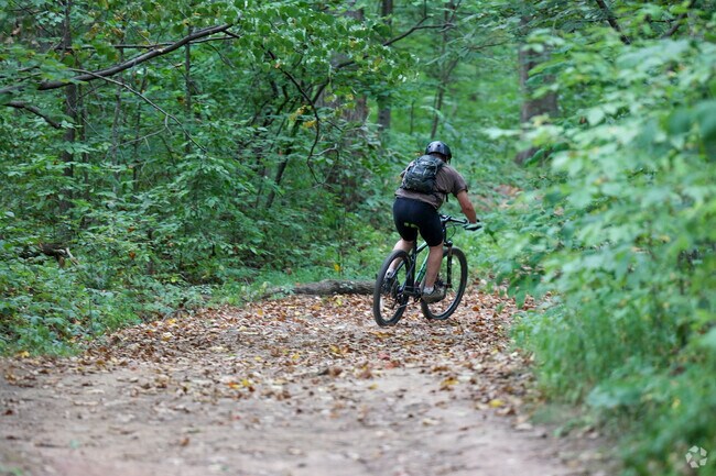 Mountain bikers enjoy the trails of Conway Robinson State Forest.