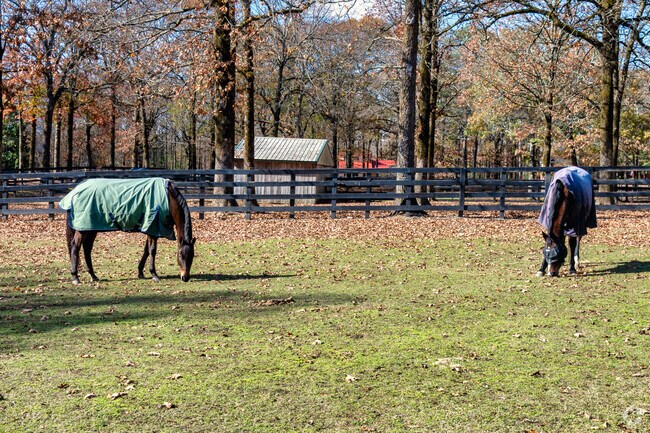 Western Little Rock contains plenty of spacious country land for all livestock.