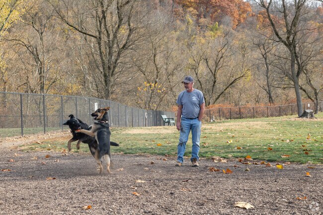 Fitzsimmons Family Dog Park in Fulton-Glenwood is beloved my all furry friends.