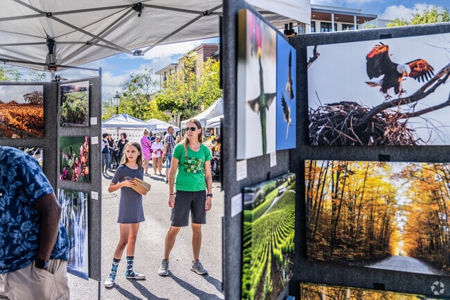 Capturing moments that tell a story through the lens of photography.