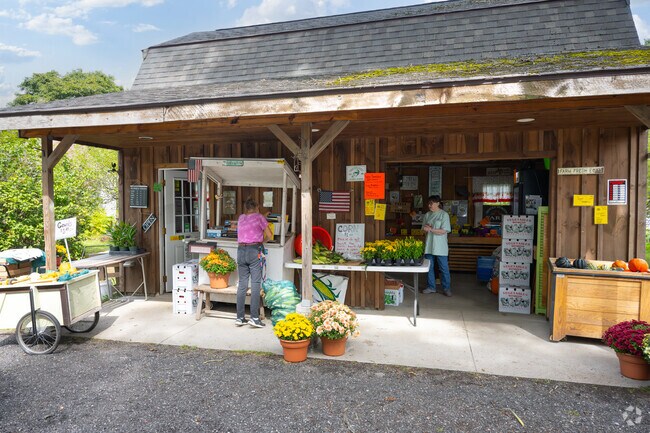 A shopper browses fruits and vegetables at Souza Family Farm in Rehoboth.