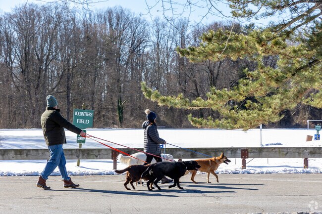 Essex Fells Fields is a favored spot for locals to stroll with their furry companions.