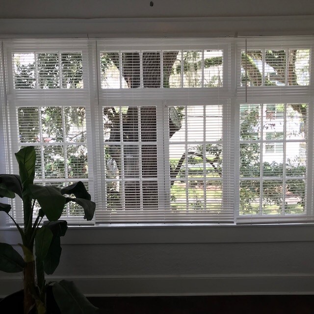 109 S Osceola Ave unit 4, Orlando, FL 32801 - photo 2