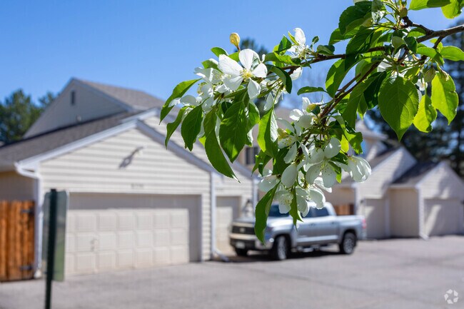 Flowers and trees line the streets of residential streets in Cay at Marina Pointe.