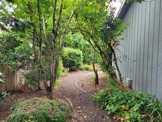 LANDSCAPED YARD WITH PATH
