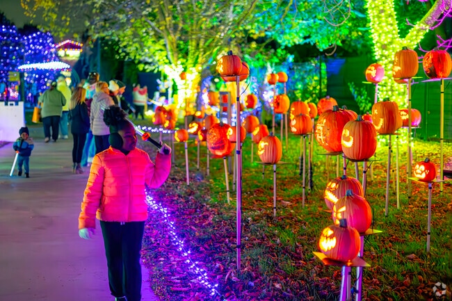 Glow sticks given out at Jack-O'-Lantern Nights invite all to participate in the light show near Uptown-The Junction.