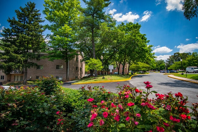 Spring Ridge Apartments, Gaithersburg, MD 20877 - photo 4