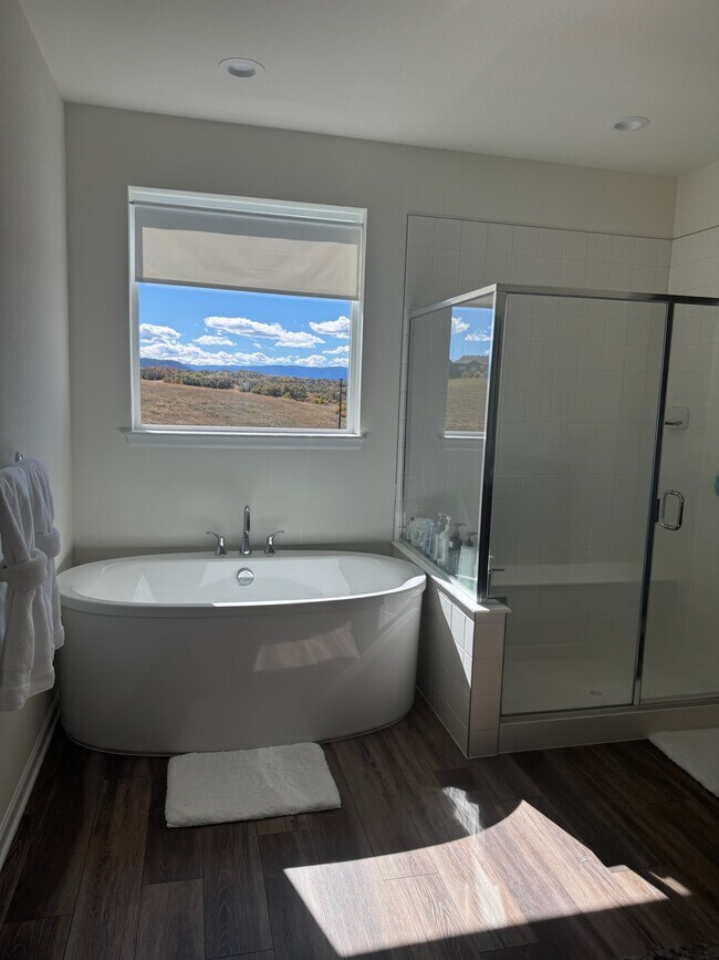 164 Welded Tuff Trail, Castle Rock, CO 80104 - photo 2