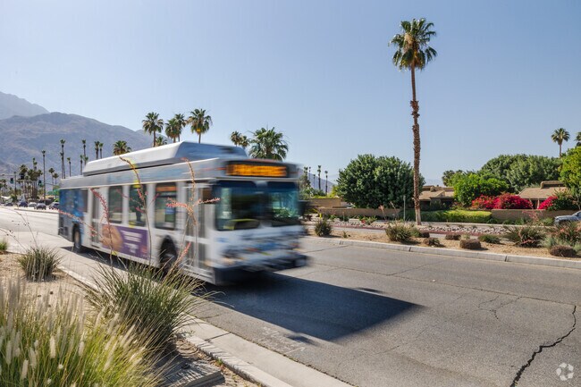 Residents can find local bus lines along Palm Canyon Drive near Araby Cove.