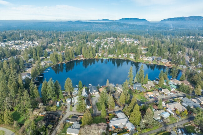 Best Starlink installers Maple Valley WA