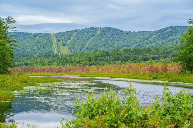 You are bound to feast your eyes on Ragged Mountain as you pass through the Danbury Bog.