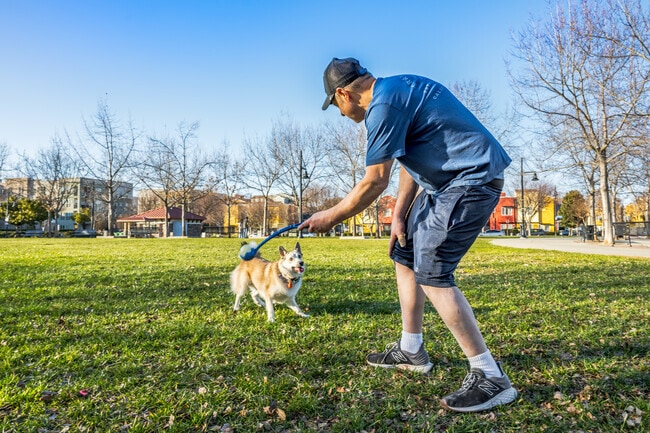 This man and his dog are enjoying playing fetch in the open areas around Capital Village.