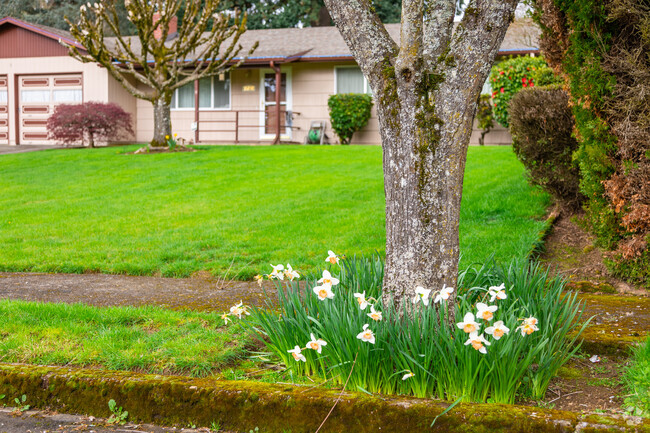 Flowers bloom beneath a mature street tree in Glenfair.