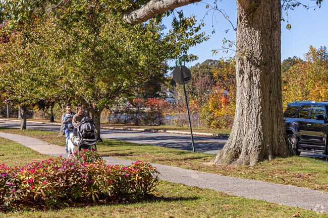 Go for a family walk in Westview Park.