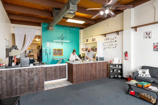 Pampered pets at Tiffany's Barks and Bubbles, Bethel Island.