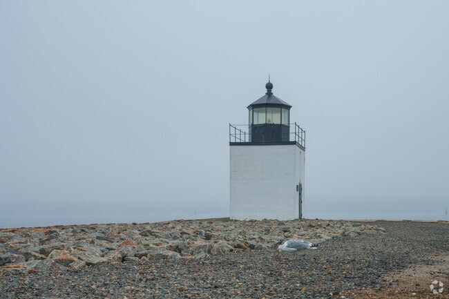 Accompany a seagull during its lunch at the Derby Wharf Light Station.