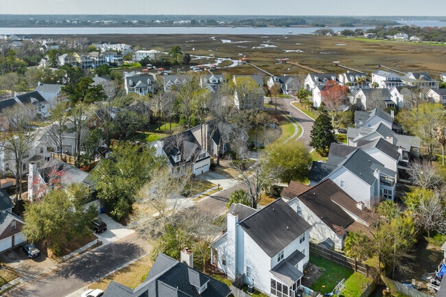 Neighborhood homes in Oakland are surrounded by large trees.