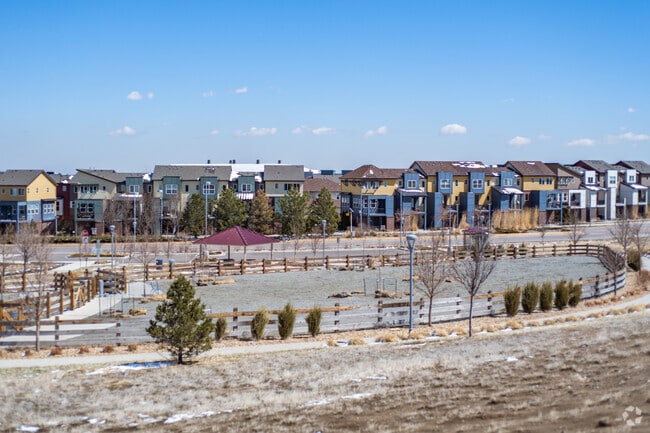 Uptown Broomfield Shepsfield Dog Park and Townhomes.