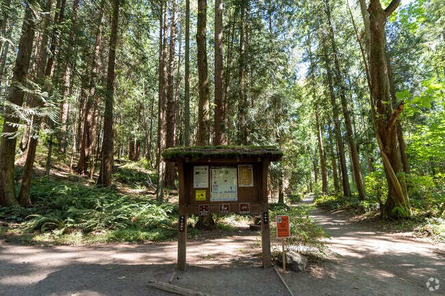 Bridle Trails State Park has almost 500 acres to explore in.