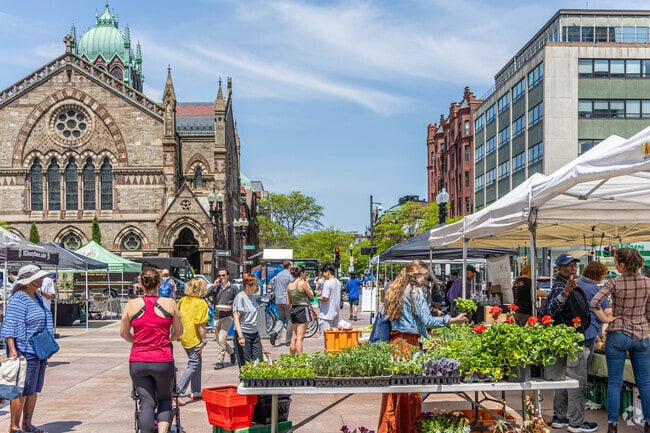 Enjoy the variety of fruits, vegetables and flowers from Kimball Fruit Farm in Copley Square.