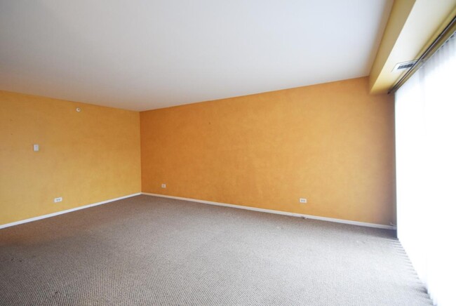 2632 Pirates Cove unit 2632 Pirates Cove 6, Schaumburg, IL 60173 - photo 3