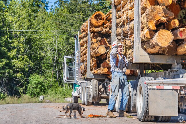 Near Elma, Capitol State Forest is massive and supports a bulk of the region's timber economy.