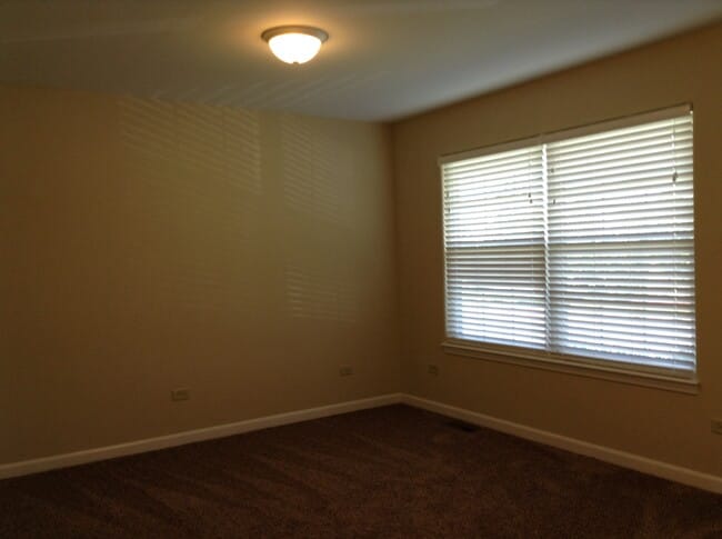 25830 S Brookfield Ct, Channahon, IL 60410 - photo 3