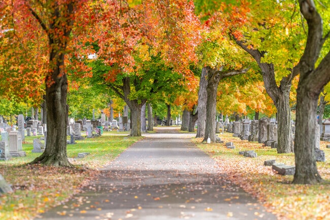 Beaver Cemetery in Vanport is stunning in the fall.