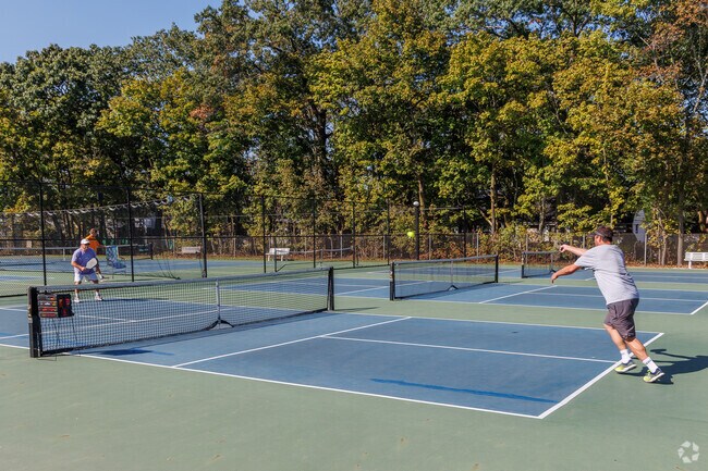 Pickleball fans enjoy the pristine courts in Lakeview's Hempstead Lake State Park.