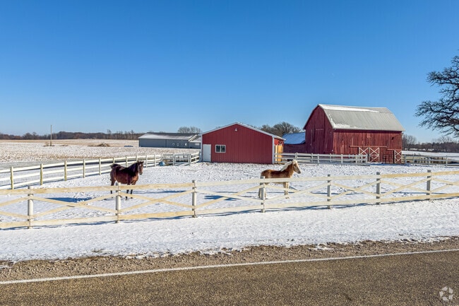 Two horses look on as commuters drive down Highway 52 near Lisbon, IL.