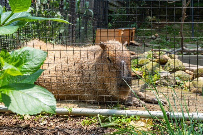 Spend the afternoon at Brandywine Park Zoo, just a short trip from Northwest Wilmington.