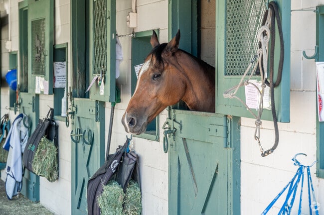 Laguna Woods residents enjoy horseback riding at the community Equestrian Center.