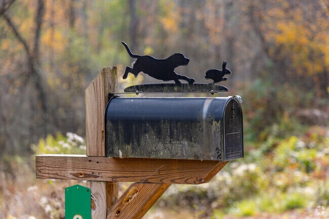 A custom mail box awaits the morning mail man in Upper Burrell Township.