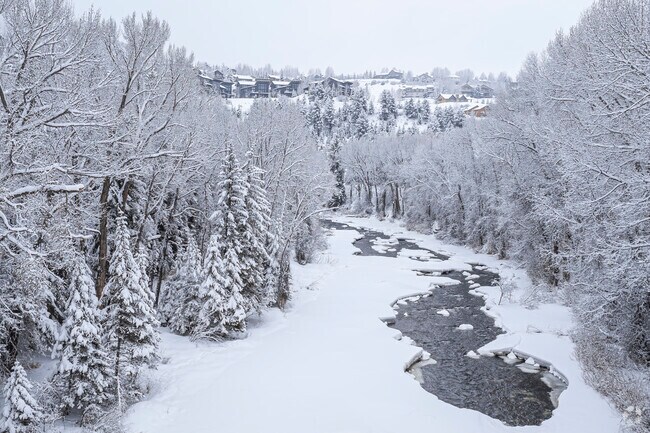 The Eagle River in Edwards isn’t just for summer—winter brings its own magic. Ice formations line the banks, while anglers enjoy world-class winter fly-fishing. With snow-dusted trees reflecting in the water, the river remains a stunning, peaceful escape year-round.