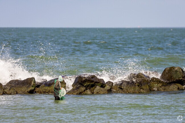 The beaches of Ocean View are just 5 minutes away from Camellia Shores.