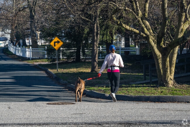 Take your dog for a walk in Riviera Beach.