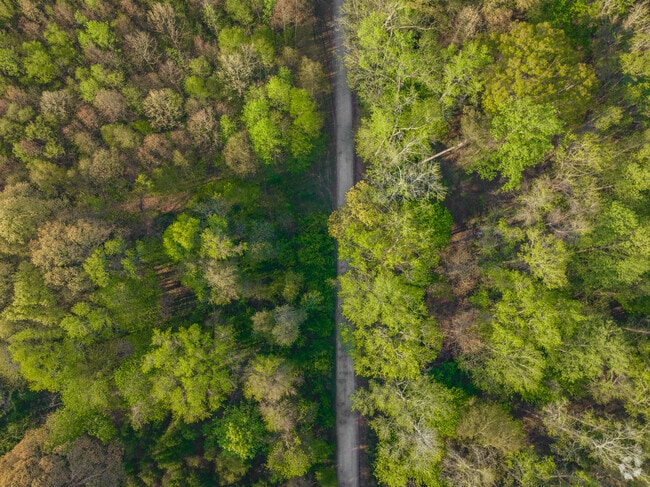 Find your path in the wilds of the Great Dismal Swamp.