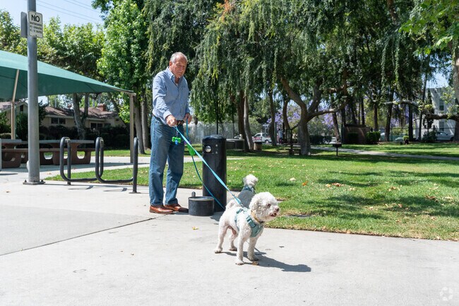 A man strolls through Carr Park with his pups, both enjoying the afternoon air and quiet surroundings.