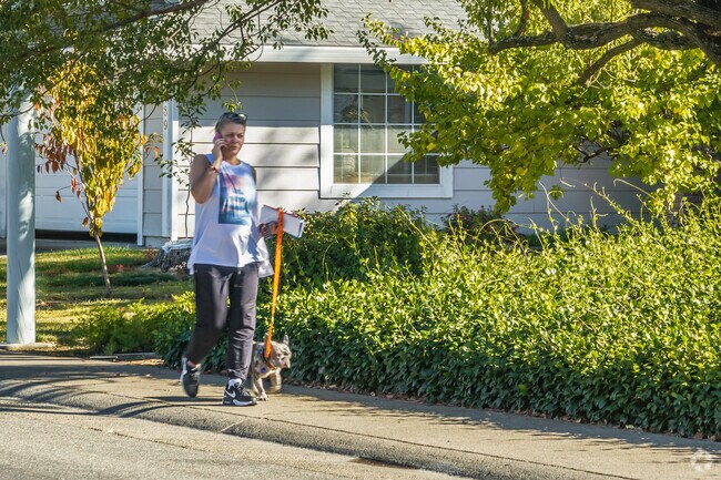 The streets in Cirby Ranch have great sidewalks to go for walks with your dog.