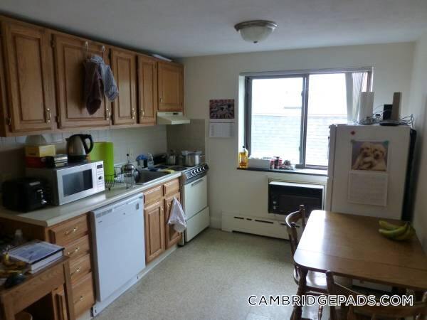 15 Chester St unit 24, Cambridge, MA 02140 - photo 2