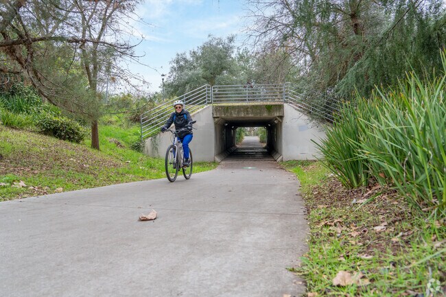 Bike through this tunnel in Davis by Mace Ranch Park.