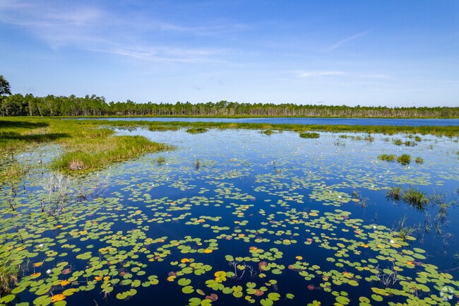 Indian Lake in Tiger Bay State Forest in Volusia County close to Tomoka Farms.