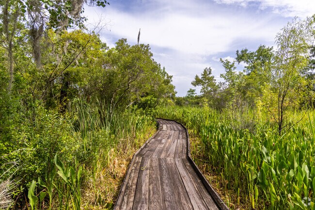 Take a peaceful walk into the bayou's of Barataria Preserve in Estelle.