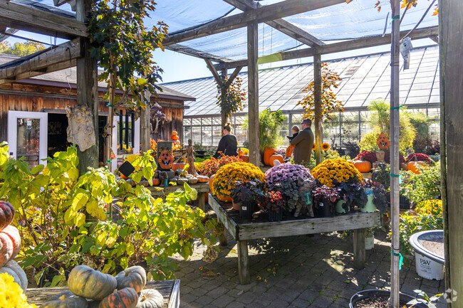 Hatcher's Greenhouse is a stand out local business in the Burlington neighborhood.