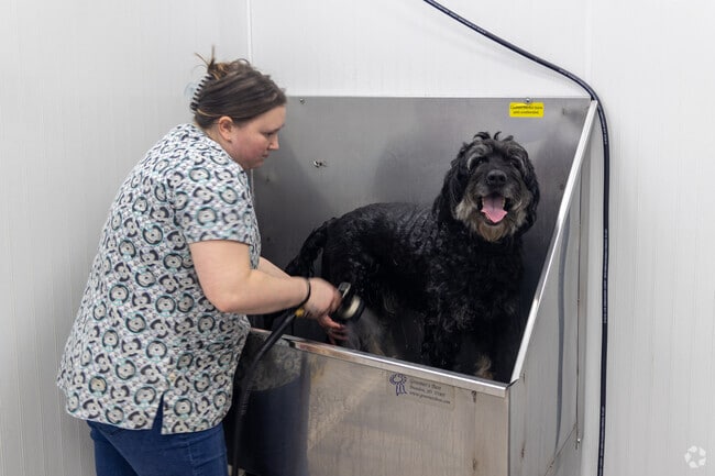Dirty Paw Dog Wash in Raymond is top notch and dog approved.
